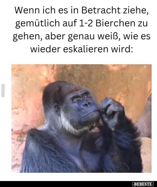 Wenn ich es in Betracht ziehe, gemütlich auf 1-2 Bierchen.. - Lustige Bilder | DEBESTE.de