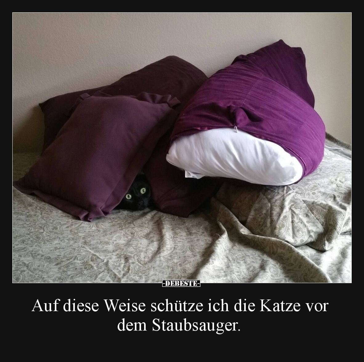 Auf diese Weise schütze ich die Katze vor dem Staubsauger... - Lustige Bilder | DEBESTE.de