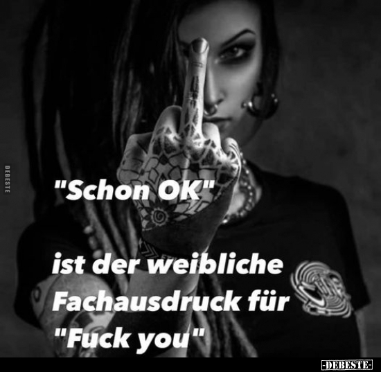 "Schon OK" ist der weibliche Fachausdruck.. - Lustige Bilder | DEBESTE.de