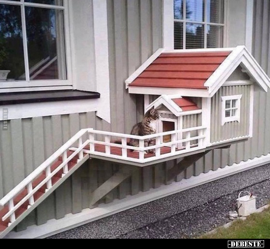  - Lustige Bilder | DEBESTE.de