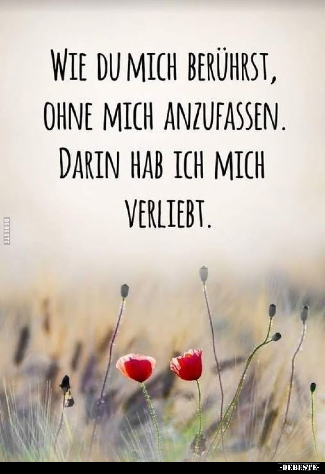 Wie du mich berührst, ohne mich anzufassen.
Darin hab ich mich verliebt.