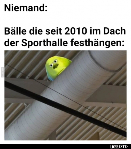 Niemand: Bälle die seit 2010 im Dach der Sporthalle festhängen.. - Lustige Bilder | DEBESTE.de