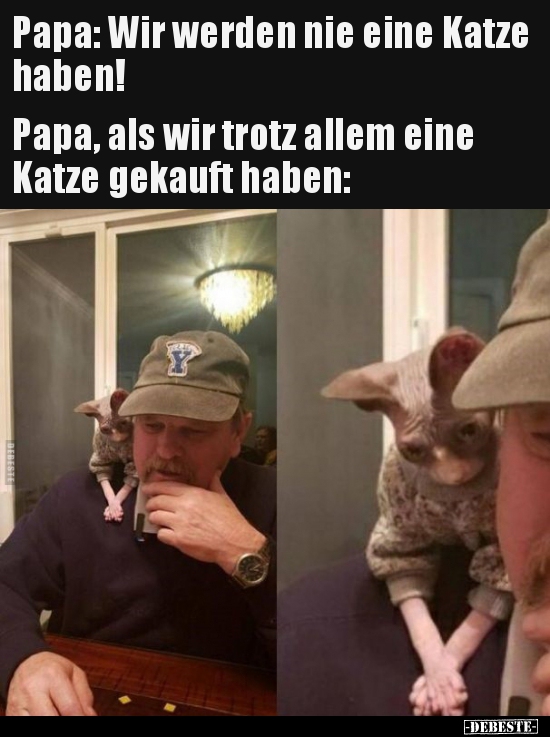 Papa: Wir werden nie eine Katze haben!... - Lustige Bilder | DEBESTE.de