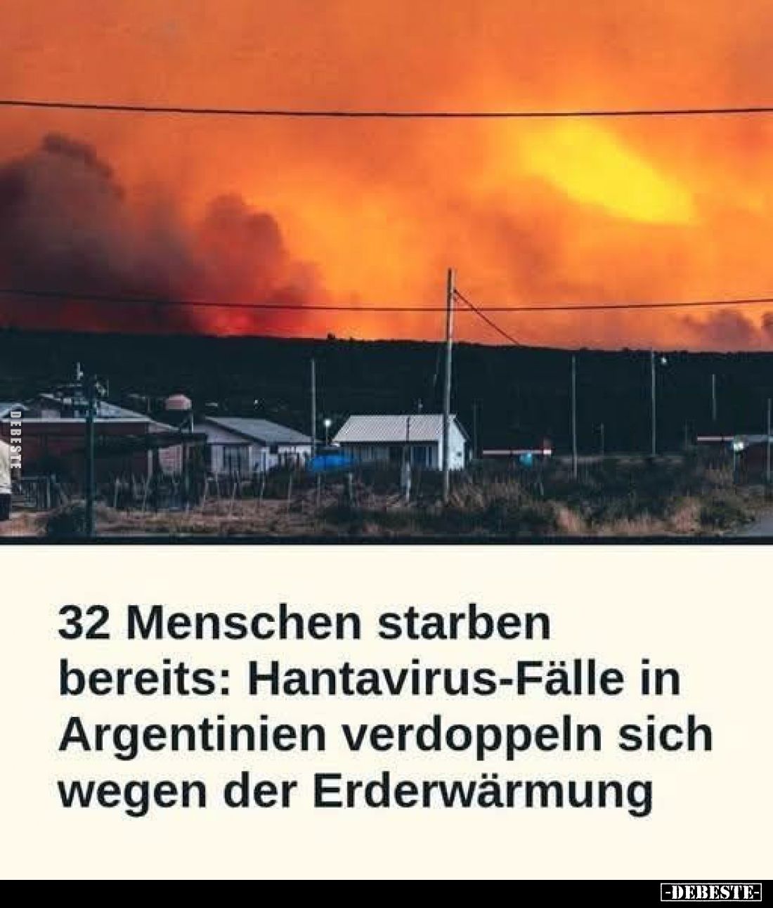 32 Menschen starben bereits: Hantavirus-Fälle in Argentinien verdoppeln sich wegen der Erderwärmung