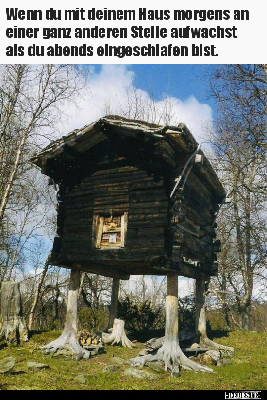 Wenn du mit deinem Haus morgens an einer ganz anderen.. - Lustige Bilder | DEBESTE.de