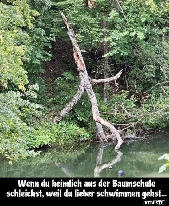 Wenn du heimlich aus der Baumschule schleichst, weil du.. - Lustige Bilder | DEBESTE.de