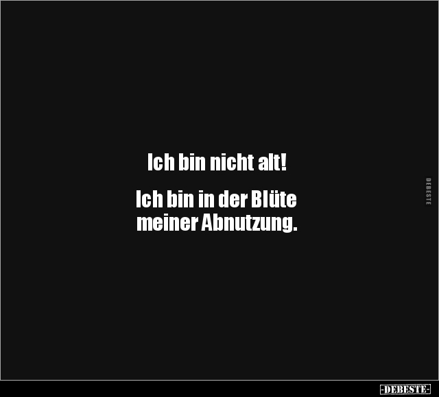 Ich bin nicht alt!
Ich bin in der Blüte
meiner Abnutzung.