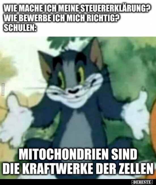 Ich: Wie mache ich meine Steuererklärung?..