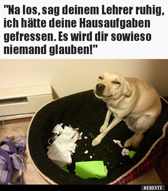 "Na los, sag deinem Lehrer ruhig, ich hätte deine.."