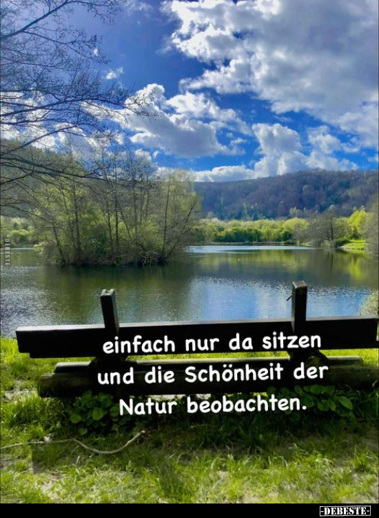 Einfach nur da sitzen und die Schönheit der Natur.. - Lustige Bilder | DEBESTE.de