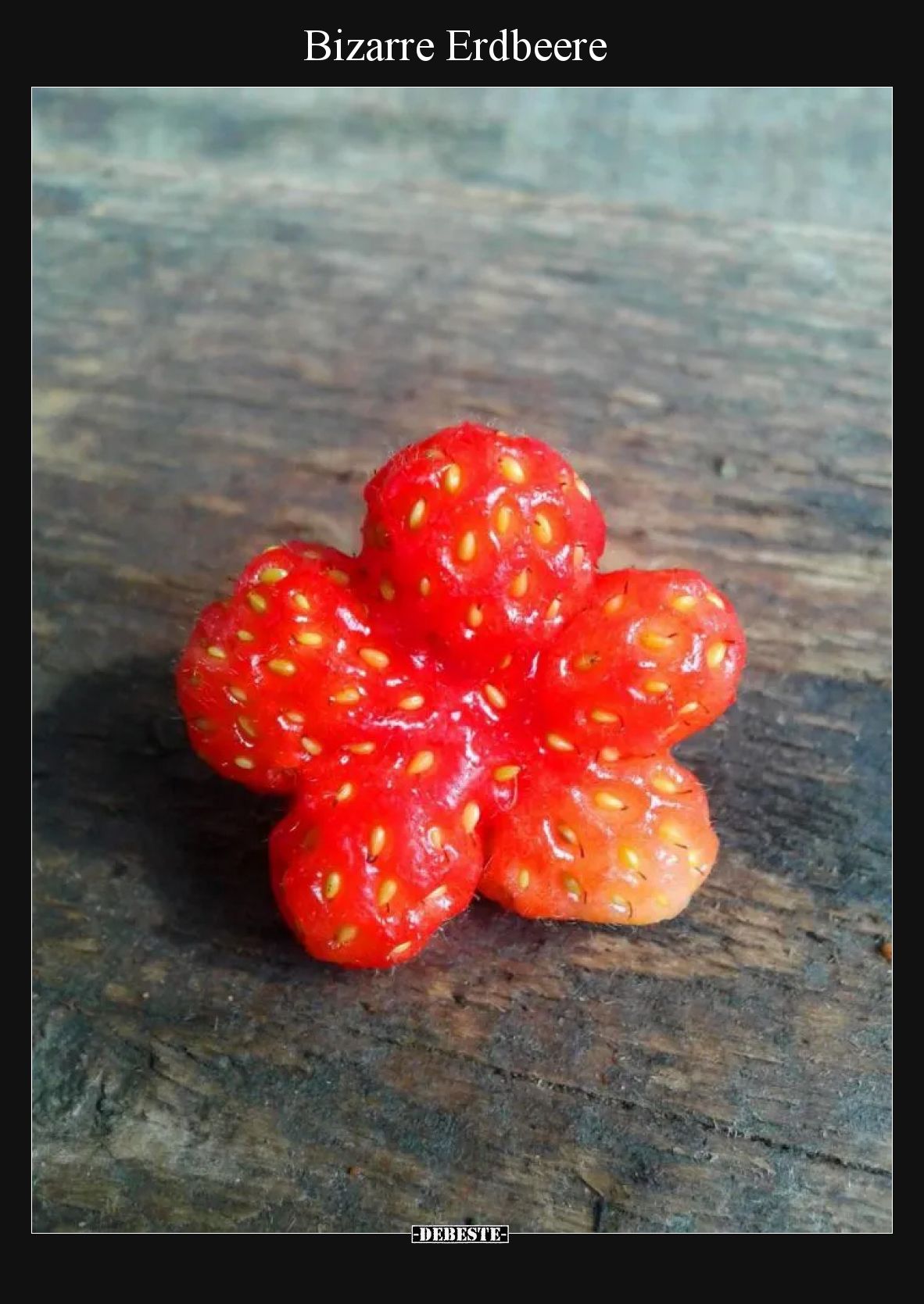 Bizarre Erdbeere