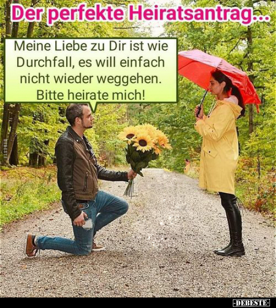 Der perfekte Heiratsantrag... - Lustige Bilder | DEBESTE.de