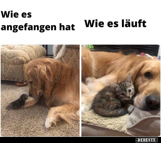 Wie es angefangen hat.. - Lustige Bilder | DEBESTE.de