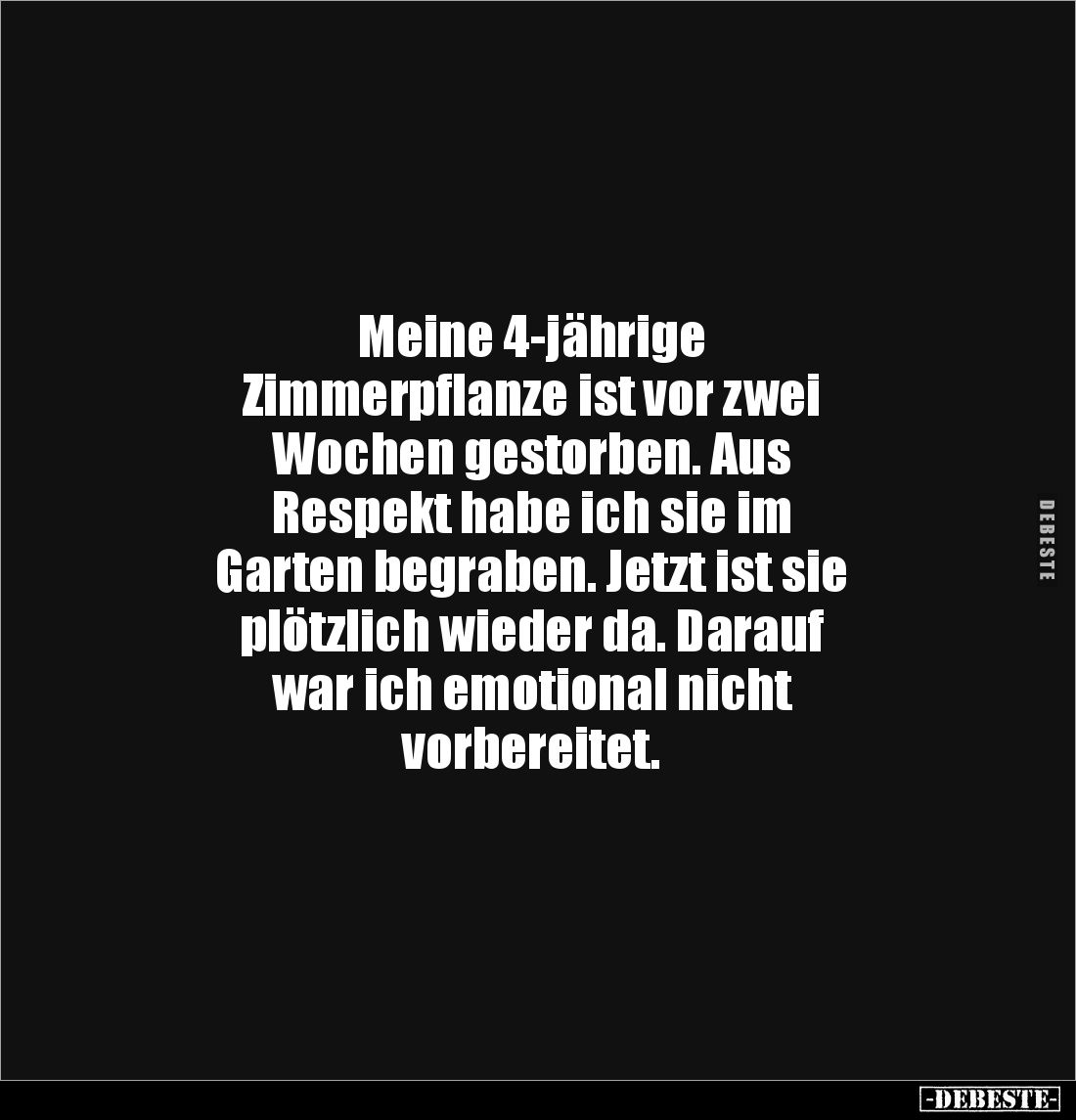 Meine 4-jährige
Zimmerpflanze ist vor zwei
Wochen gestorben. Aus
Respekt habe ich sie im
Garten begraben. Jetzt ist sie
...