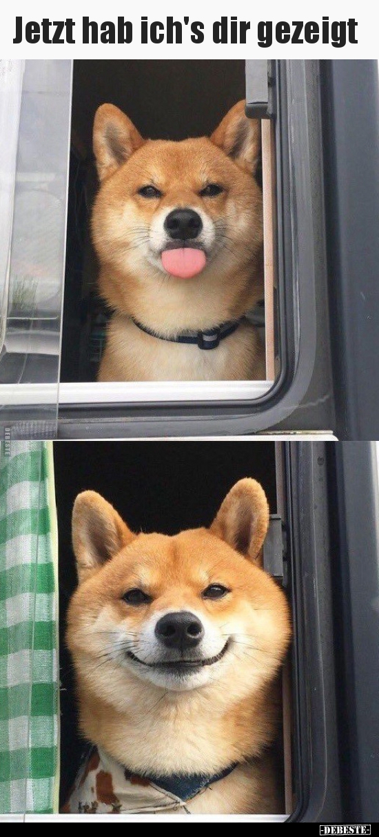 Jetzt hab ich's dir gezeigt..