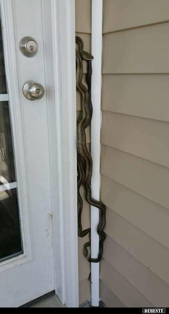  - Lustige Bilder | DEBESTE.de