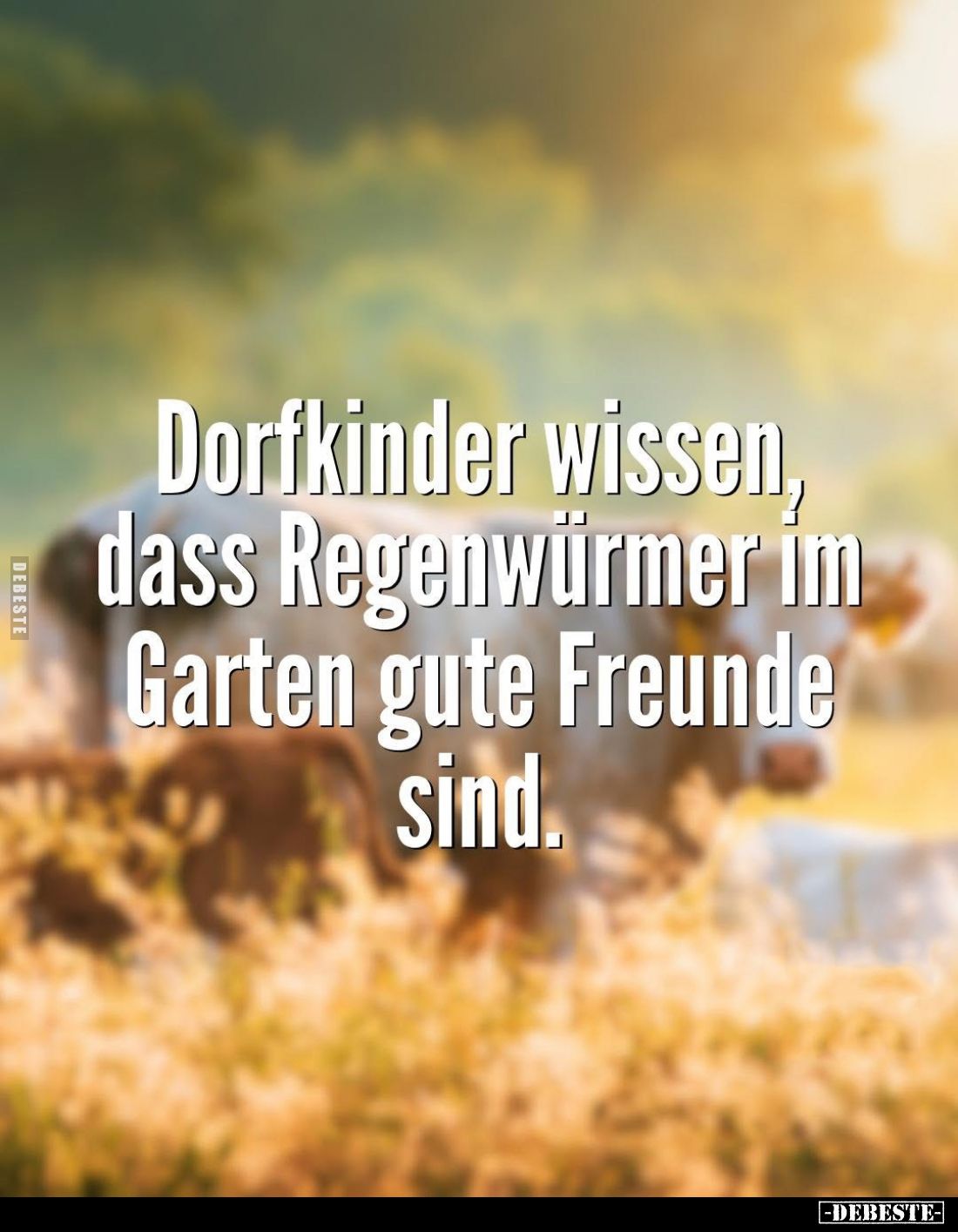 Dorfkinder wissen, dass Regenwürmer im Garten gute Freunde sind.