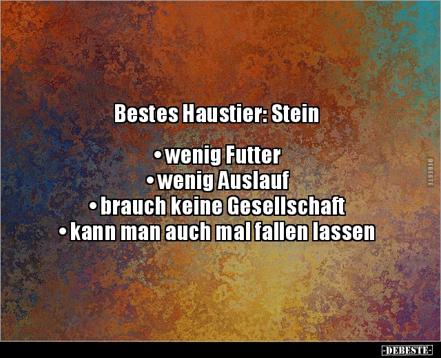 Bestes Haustier: Stein • wenig Futter• wenig Auslauf.. - Lustige Bilder | DEBESTE.de