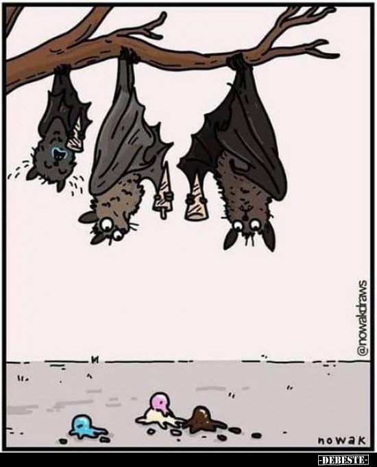  - Lustige Bilder | DEBESTE.de