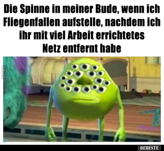 Die Spinne in meiner Bude, wenn ich Fliegenfallen..