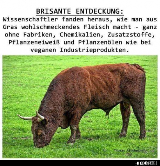 BRISANTE ENTDECKUNG: Wissenschaftler fanden heraus, wie man.. - Lustige Bilder | DEBESTE.de