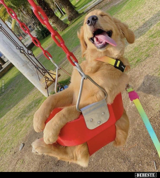  - Lustige Bilder | DEBESTE.de