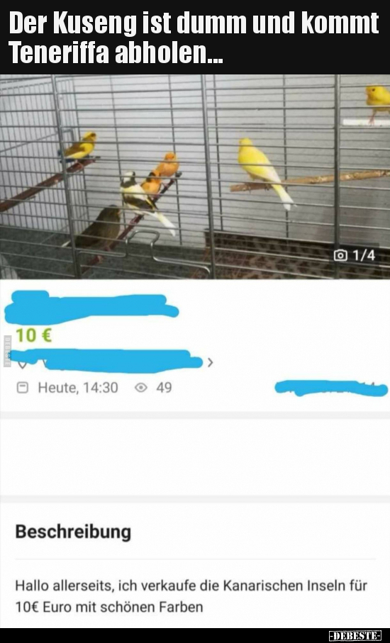 Der Kuseng ist dumm und kommt Teneriffa abholen...