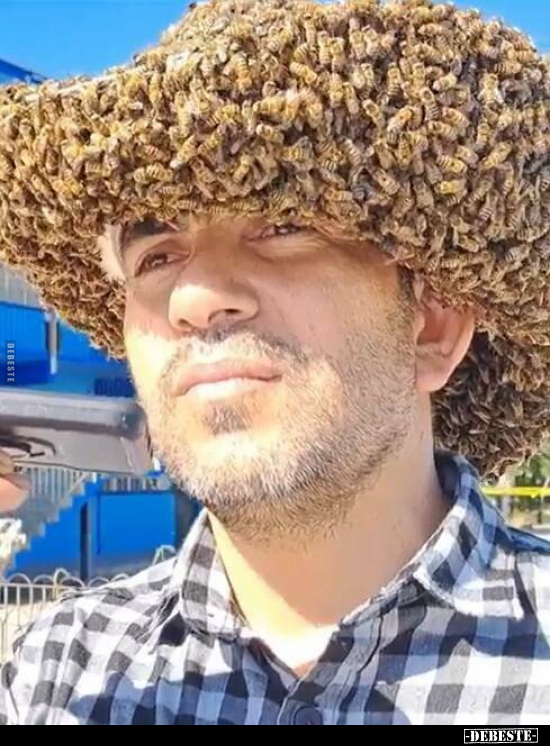  - Lustige Bilder | DEBESTE.de