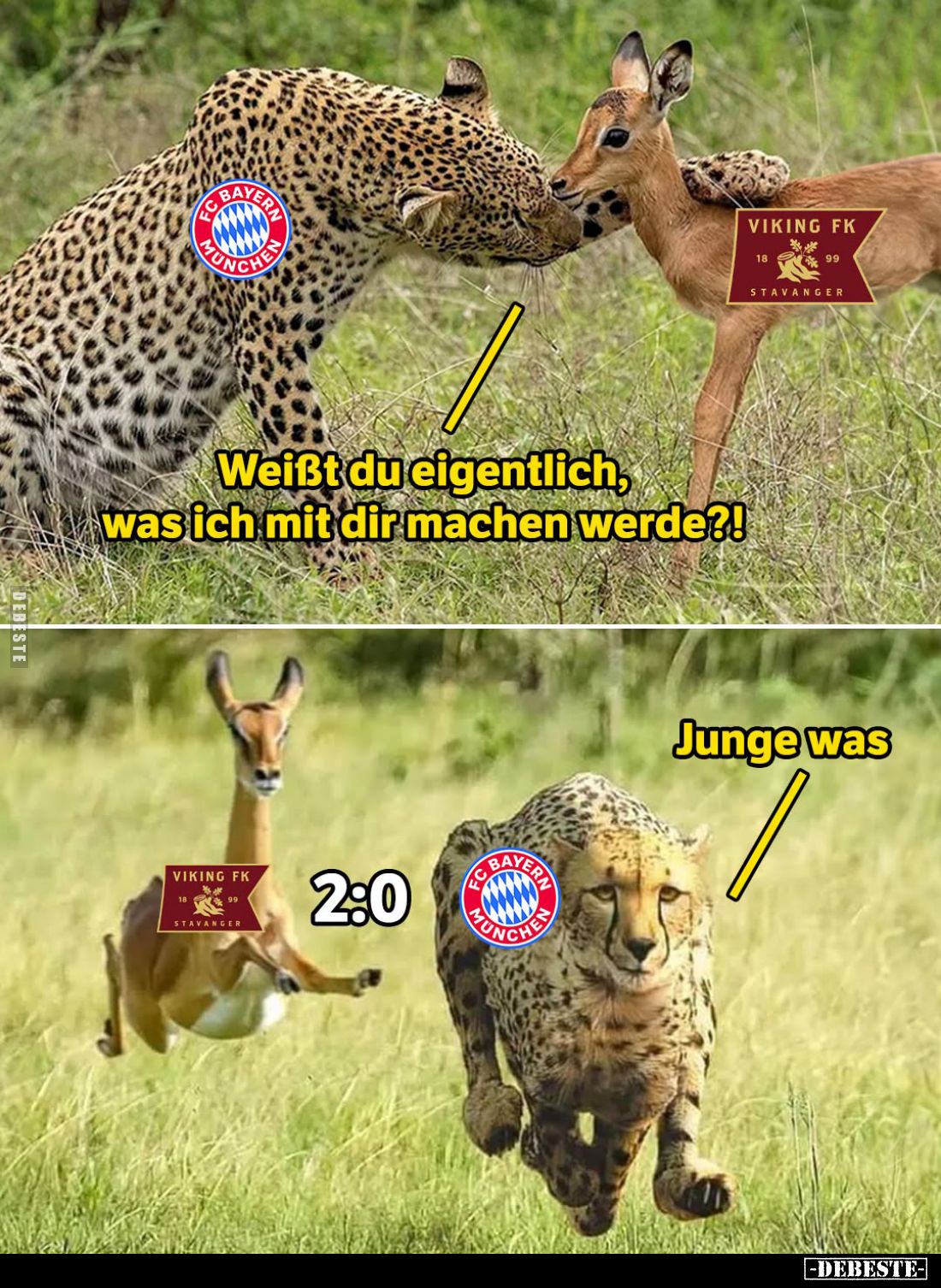 Weißt du eigentlich, was ich mit dir machen werde?! -
Junge was...