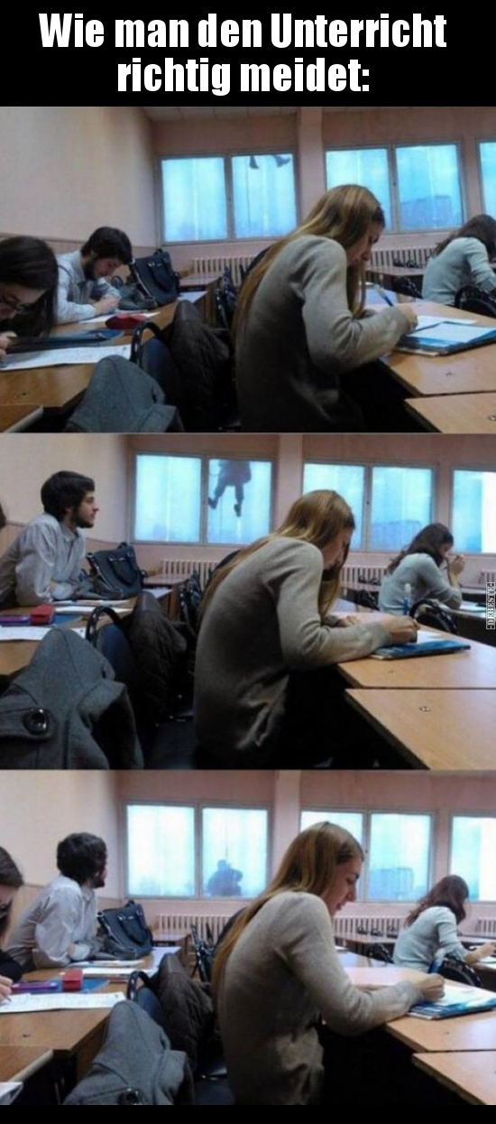 Wie man den Unterricht richtig meidet..