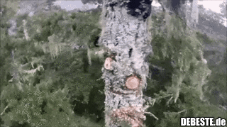 Aufpassen, Bauuuuuuuum..