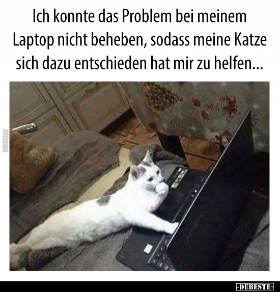 Ich konnte das Problem bei meinem Laptop nicht beheben.. - Lustige Bilder | DEBESTE.de