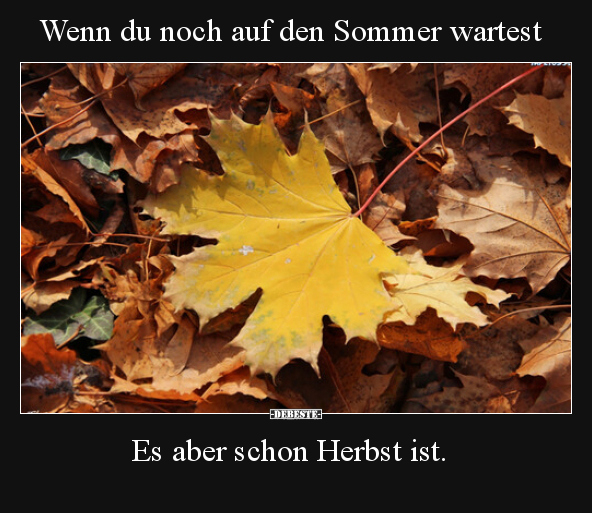 Wenn du noch auf den Sommer wartest..
