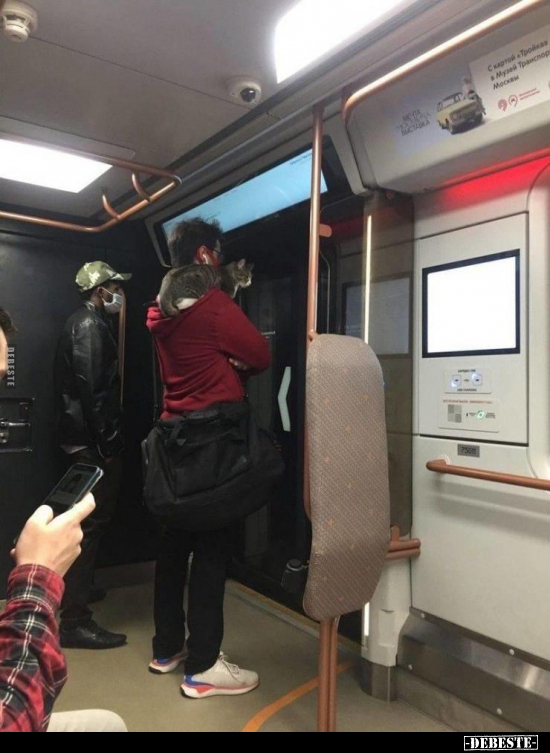  - Lustige Bilder | DEBESTE.de