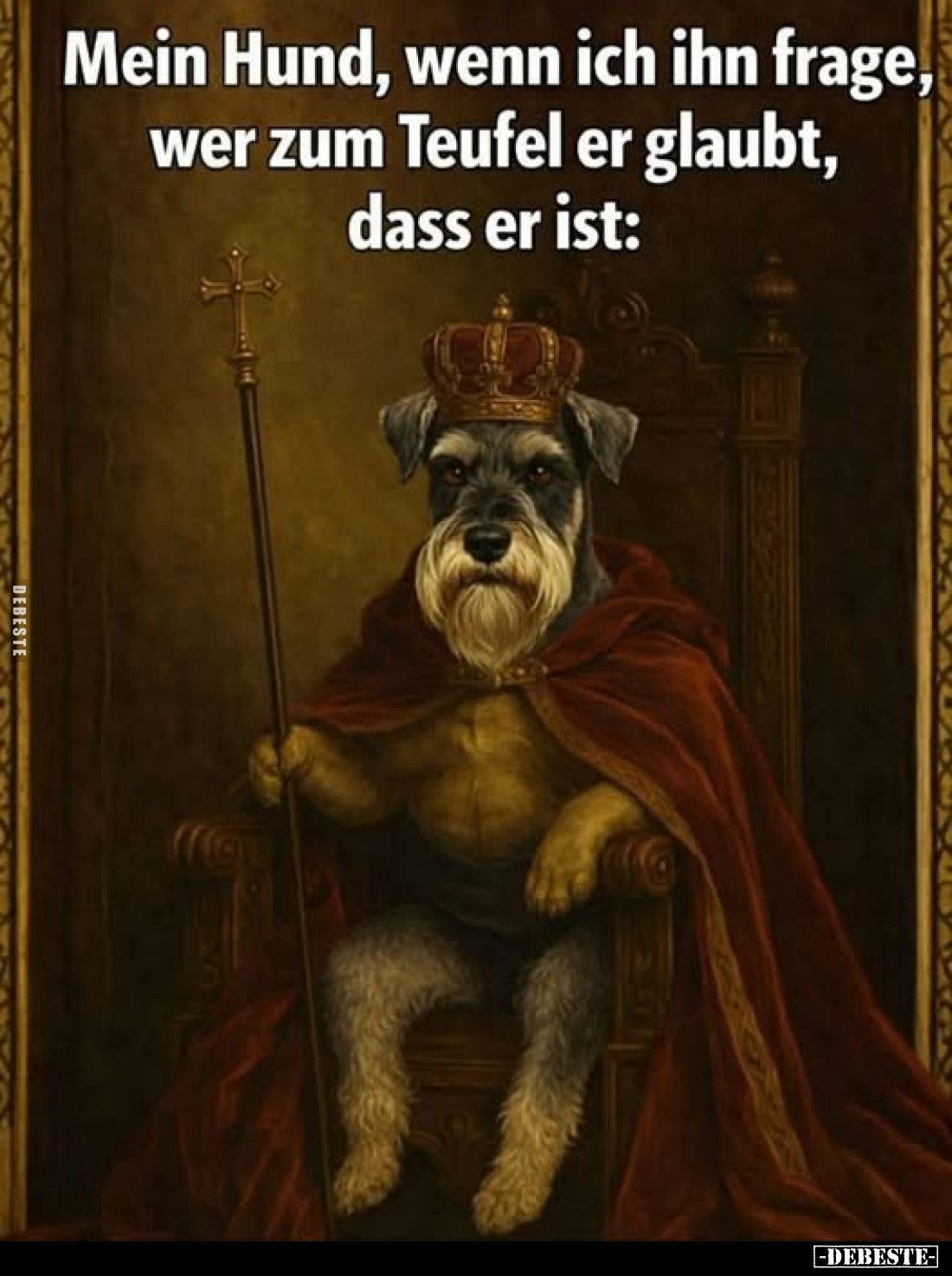 Mein Hund, wenn ich ihn frage, wer zum Teufel er glaubt, dass er ist: