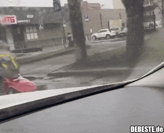  - Lustige Bilder | DEBESTE.de