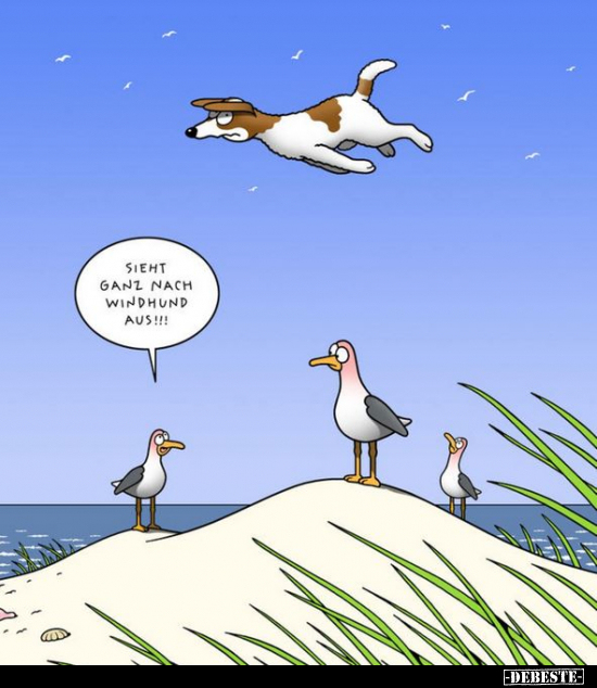 Sieht ganz nach Windhund aus!!!.. - Lustige Bilder | DEBESTE.de