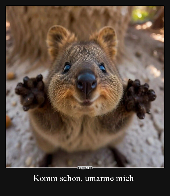 Komm schon, umarme mich.. - Lustige Bilder | DEBESTE.de