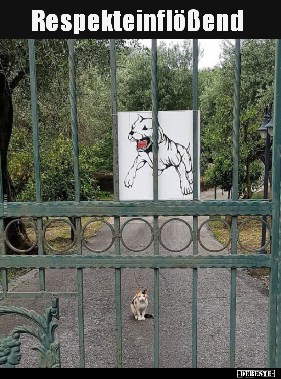 Respekteinflößend..