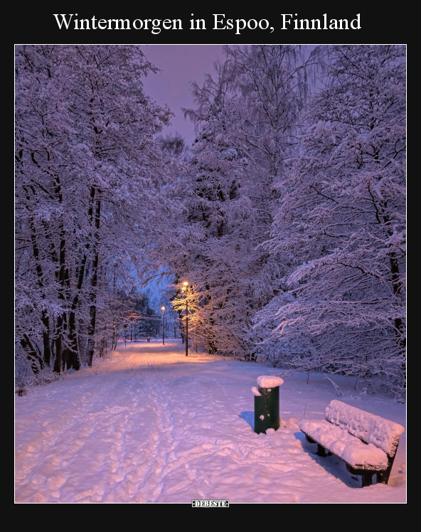 Wintermorgen in Espoo, Finnland.. - Lustige Bilder | DEBESTE.de