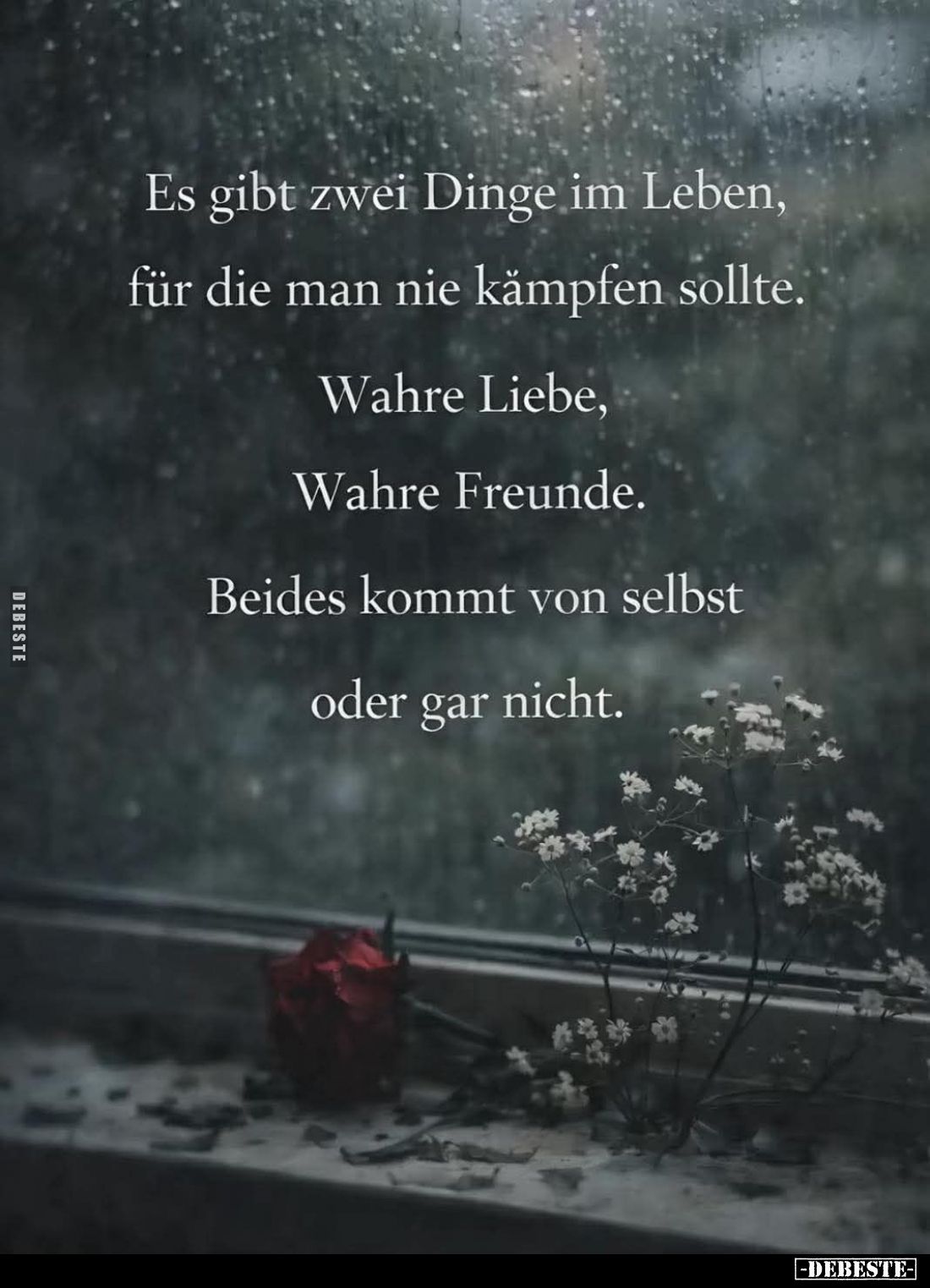 Es gibt zwei Dinge im Leben, für die man nie kämpfen sollte.
Wahre Liebe, Wahre Freunde.
Beides kommt von selbst oder gar n...