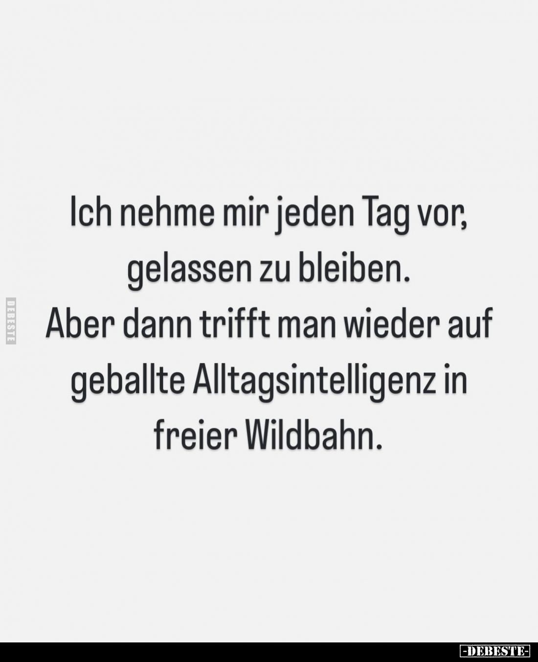 Ich nehme mir jeden Tag vor, gelassen zu bleiben. Aber dann trifft man wieder auf geballte Alltagsintelligenz in freier Wildb...