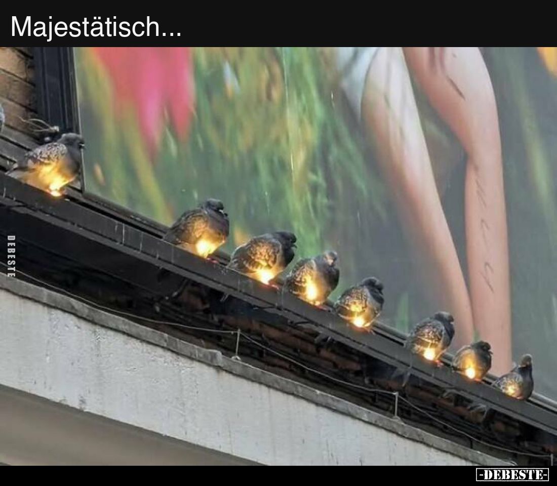 Majestätisch