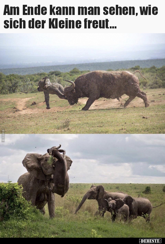 Am Ende kann man sehen, wie sich der Kleine freut...