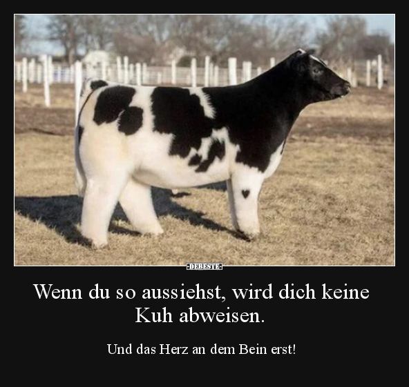 Wenn du so aussiehst, wird dich keine Kuh abweisen...