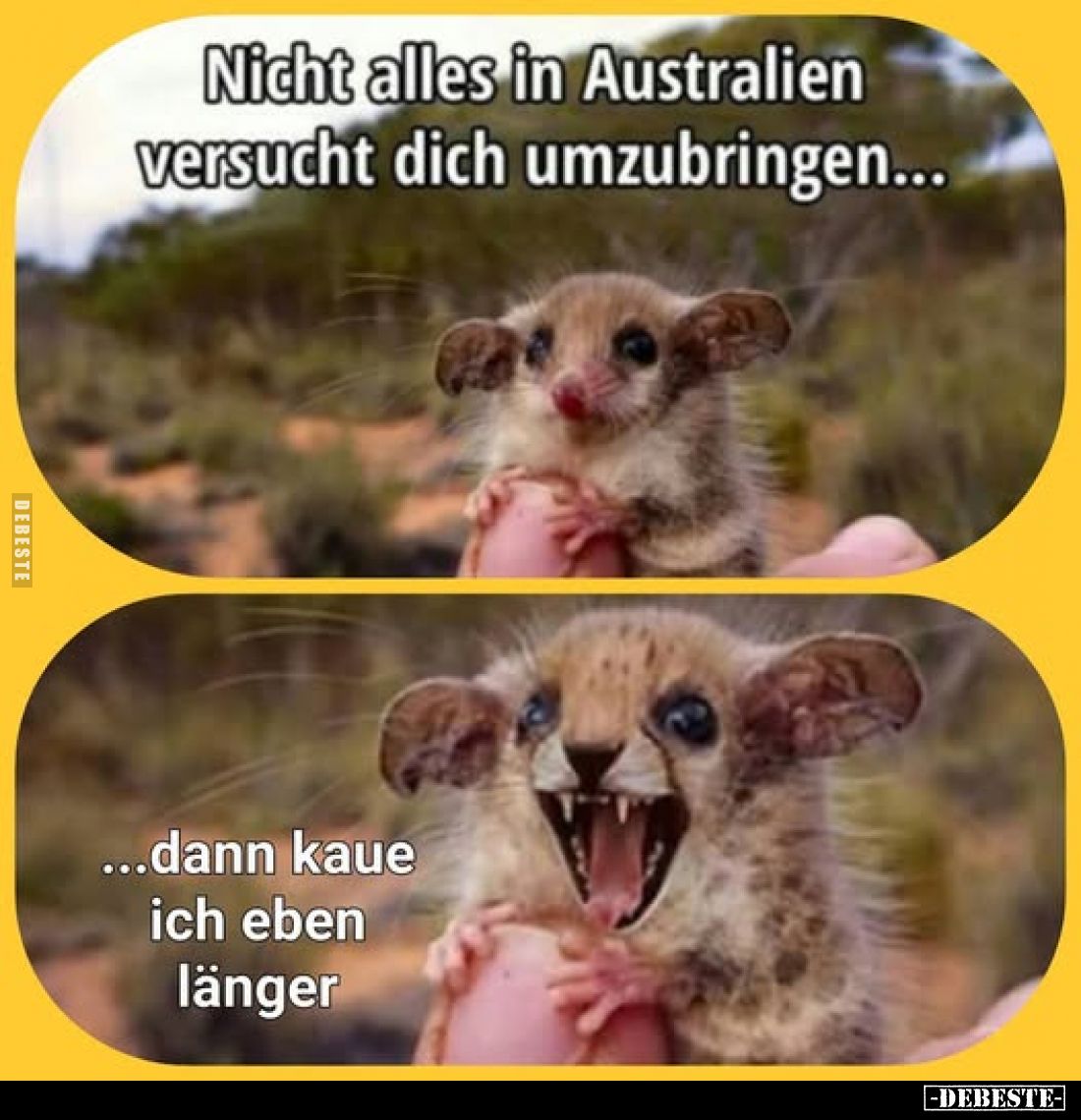 Nicht alles in Australien versucht dich umzubringen...
...dann kaue ich eben länger