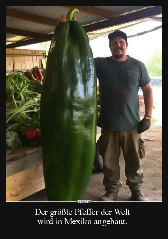 Der größte Pfeffer der Welt wird in Mexiko angebaut... - Lustige Bilder | DEBESTE.de