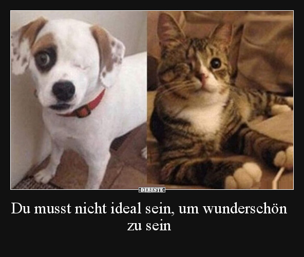 Du musst nicht ideal sein, um wunderschön zu sein.. - Lustige Bilder | DEBESTE.de