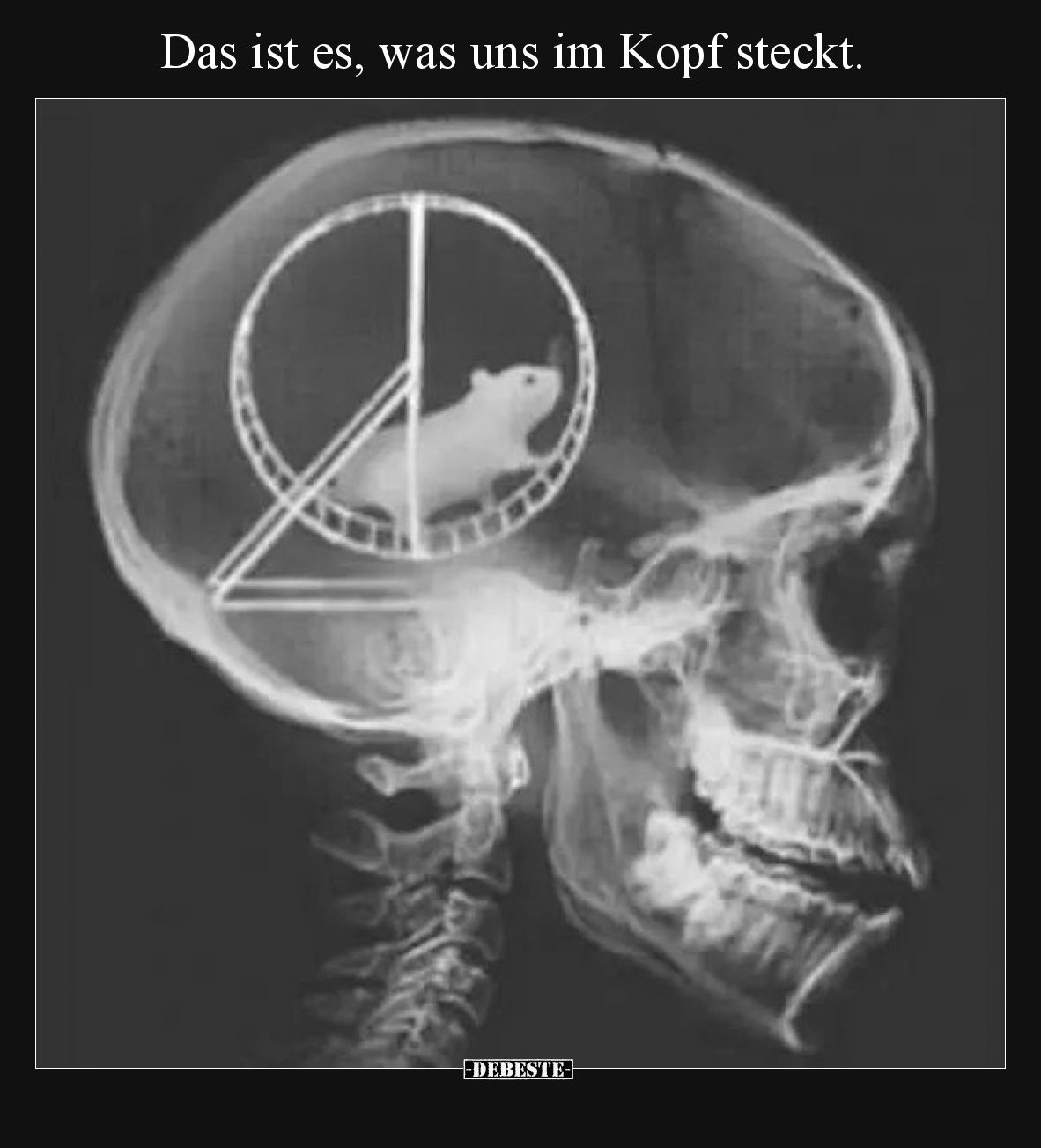 Das ist es, was uns im Kopf steckt.