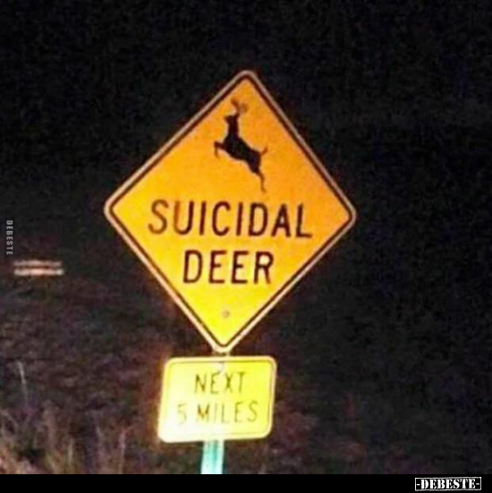 SUICIDAL DEER